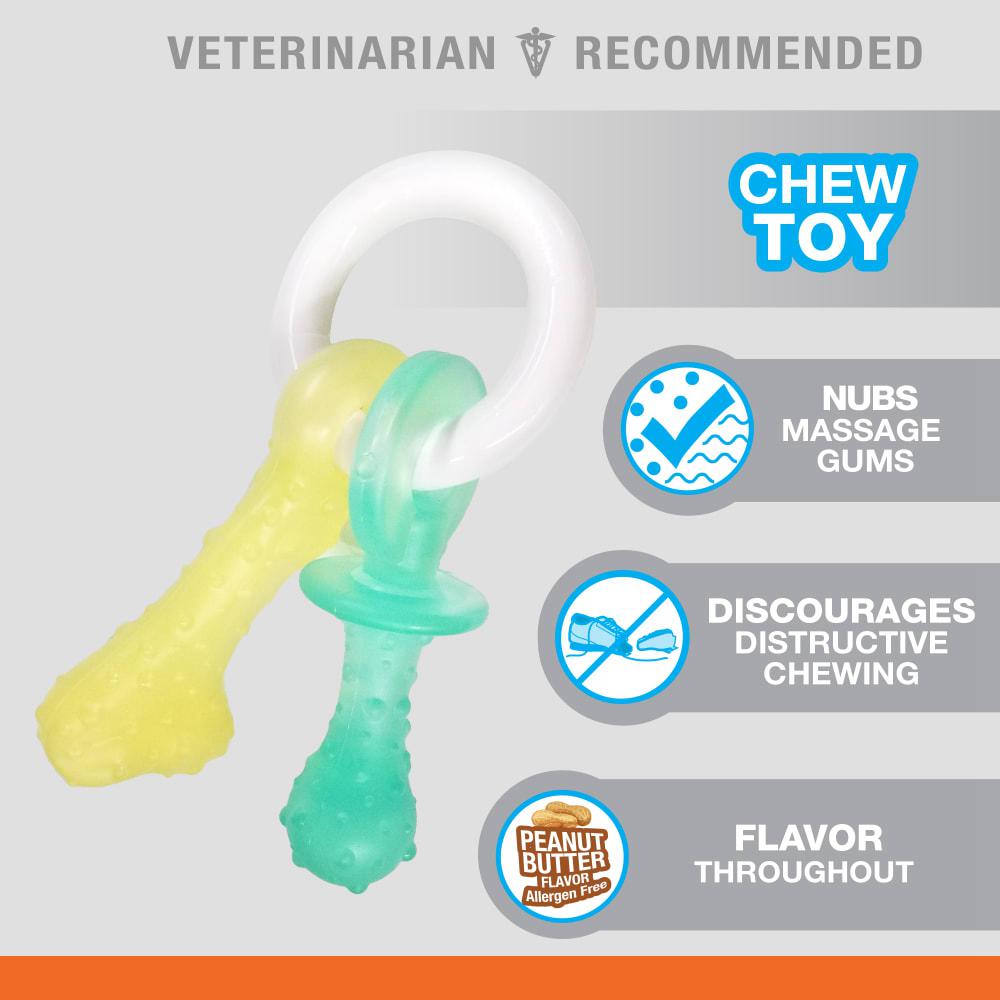 Nylabone Teething Pacifier Puppy Chew Toys  USA |  NILEF-4628