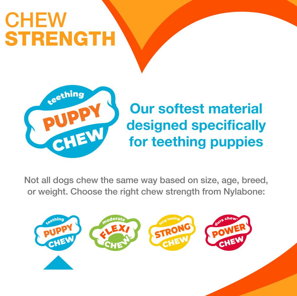 Nylabone Teething & Soothing Flexible Puppy Chew Toys  USA |  VMAWB-3891