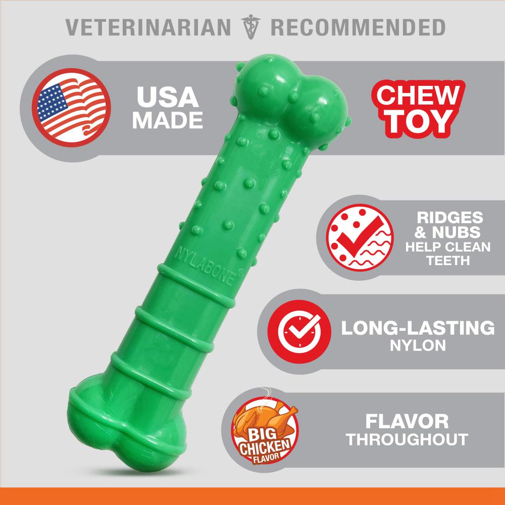 Nylabone Textured Dental Power Chew Toys  USA |  JFAMB-1597