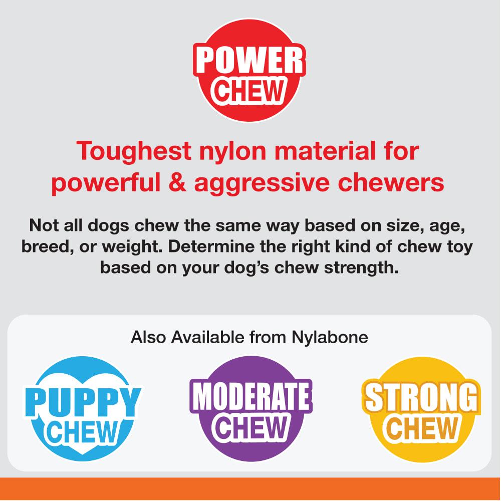 Nylabone Textured Dental Power Chew Toys  USA |  JFAMB-1597