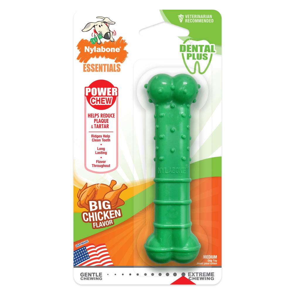 Nylabone Textured Dental Power Chew Toys  USA |  JFAMB-1597