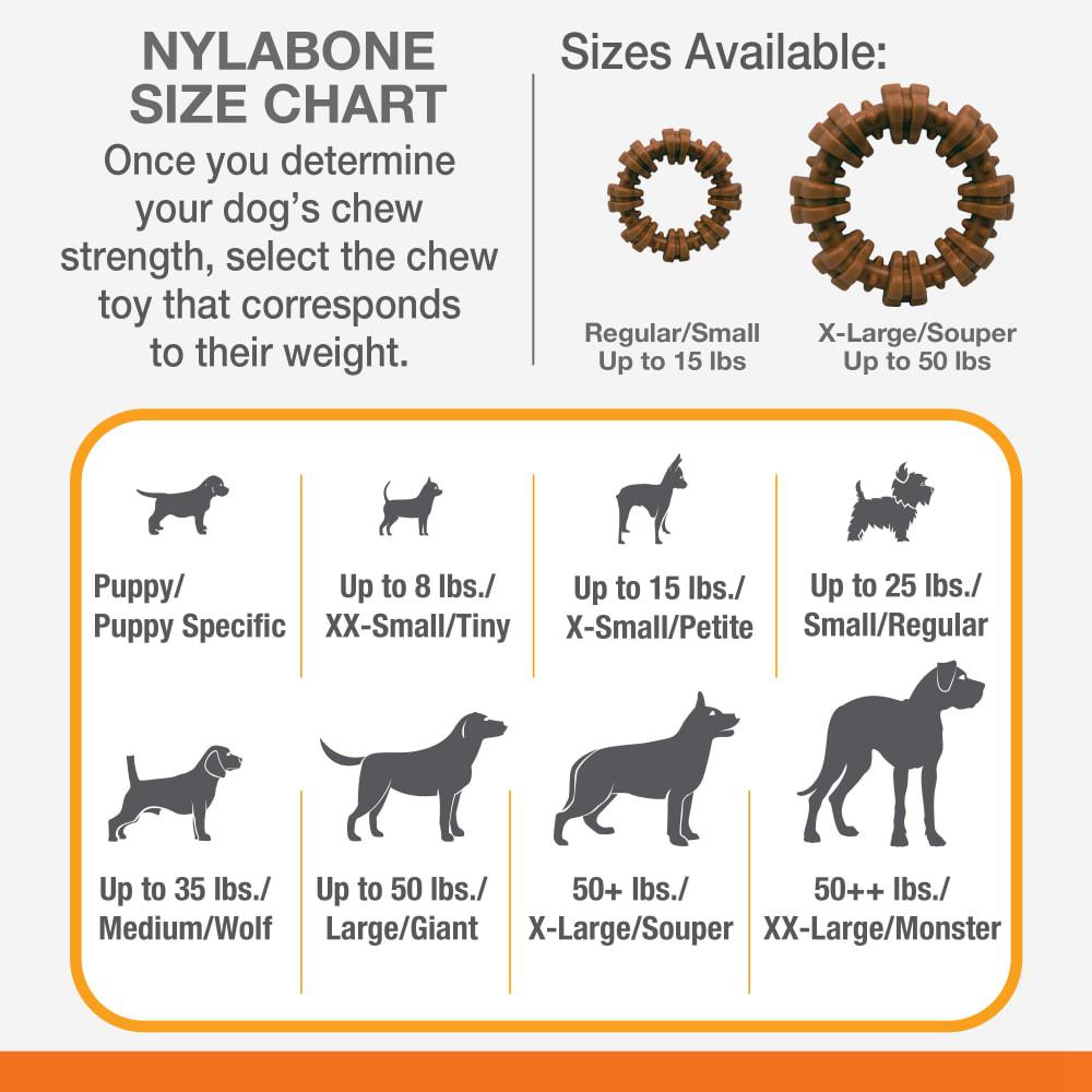 Nylabone Textured Ring Power Chew Toys  USA |  ITAVK-1604