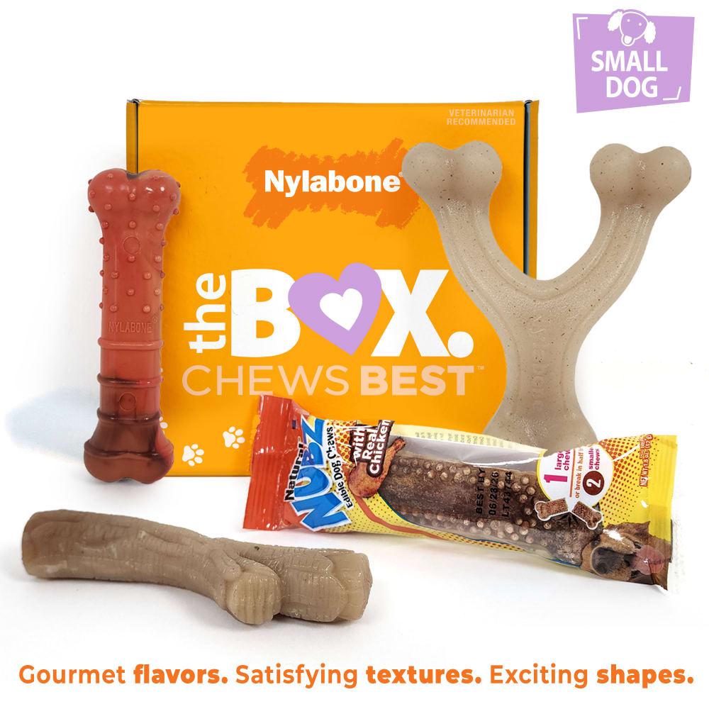 Nylabone The Box - & Treat Gift Box Strong Chew Toys For Dogs  USA |  RQJOK-1642