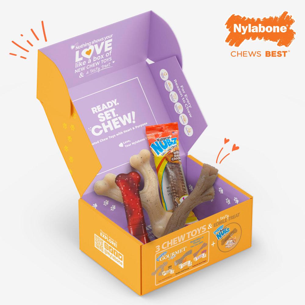 Nylabone The Box - & Treat Gift Box Strong Chew Toys For Dogs  USA |  RQJOK-1642