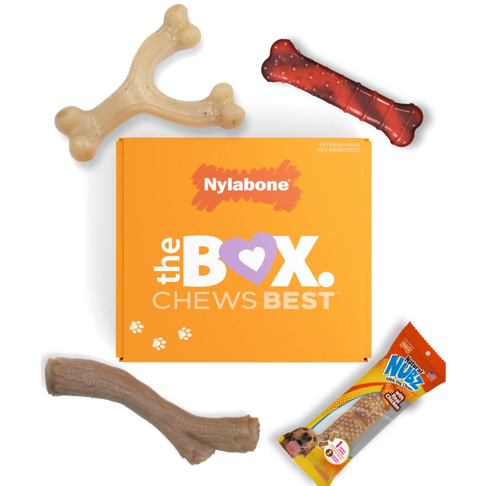 Nylabone The Box - & Treat Gift Box Strong Chew Toys For Dogs  USA |  RQJOK-1642