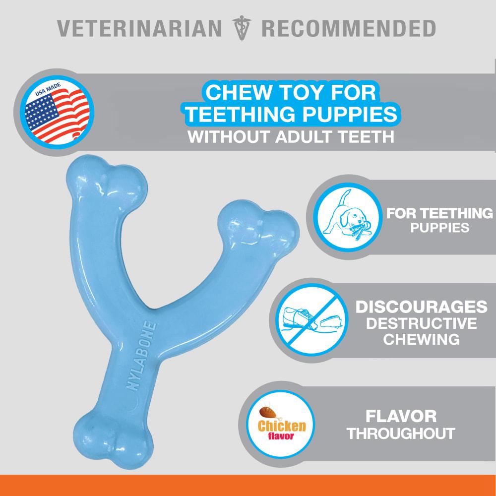 Nylabone Wishbone Puppy Chew Toys  USA |  EFARL-3024