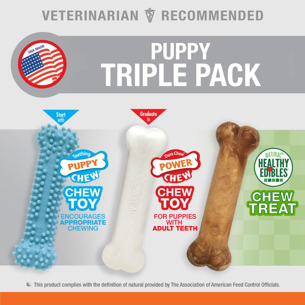 Nylabone & Treat Triple Pack Puppy Chew Toys  USA |  YJRQB-5194